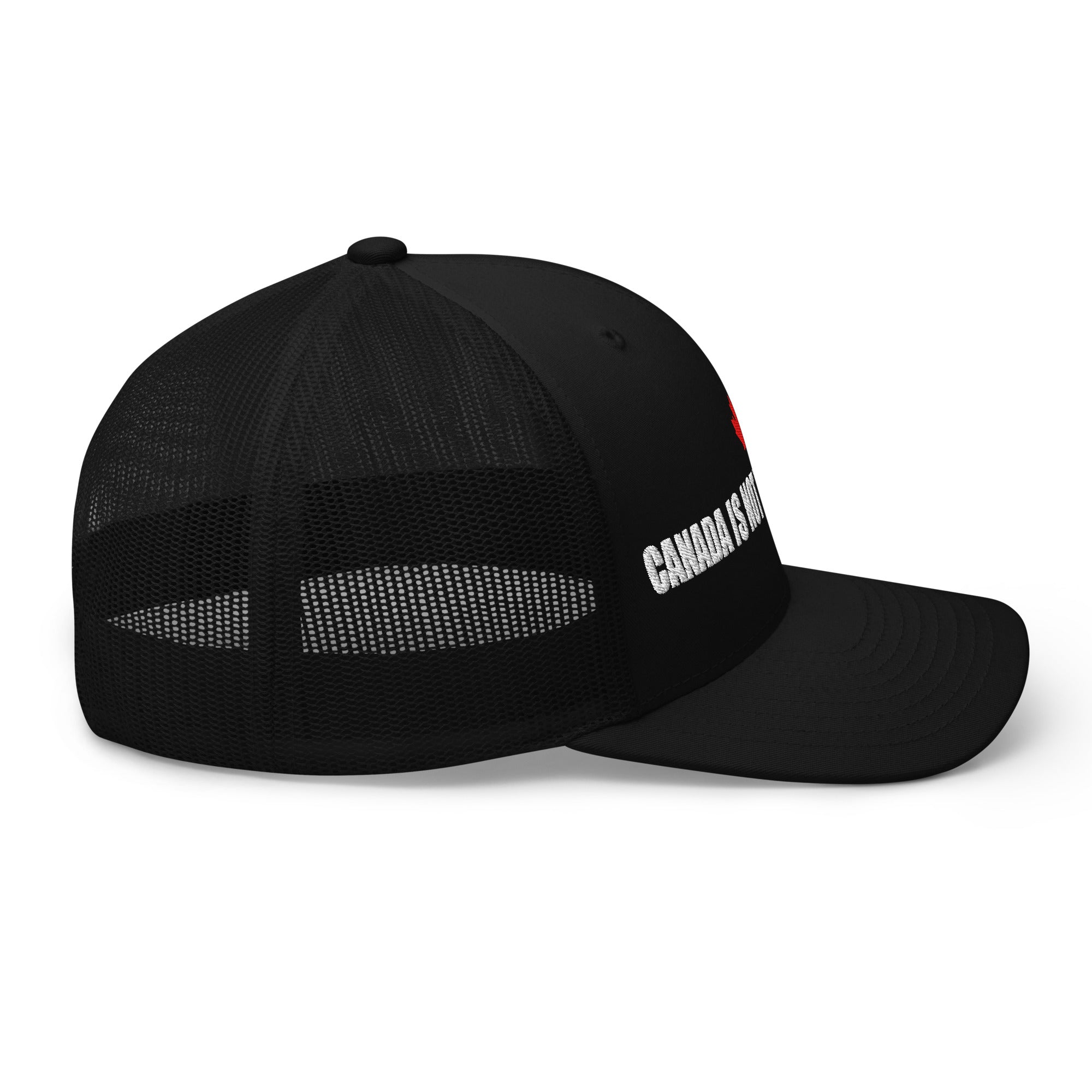 Limited Edition - Canada Is Not Your State